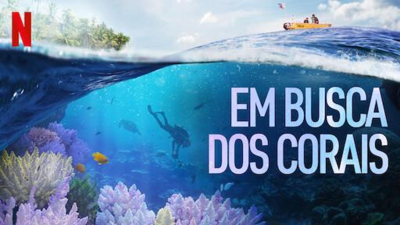 Em Busca dos Corais | Trailer oficial | 